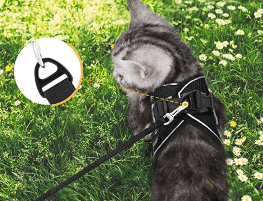 Maliben | ADVENTURE HARNESS – Escape-proof cat harness with leash & reflective elements