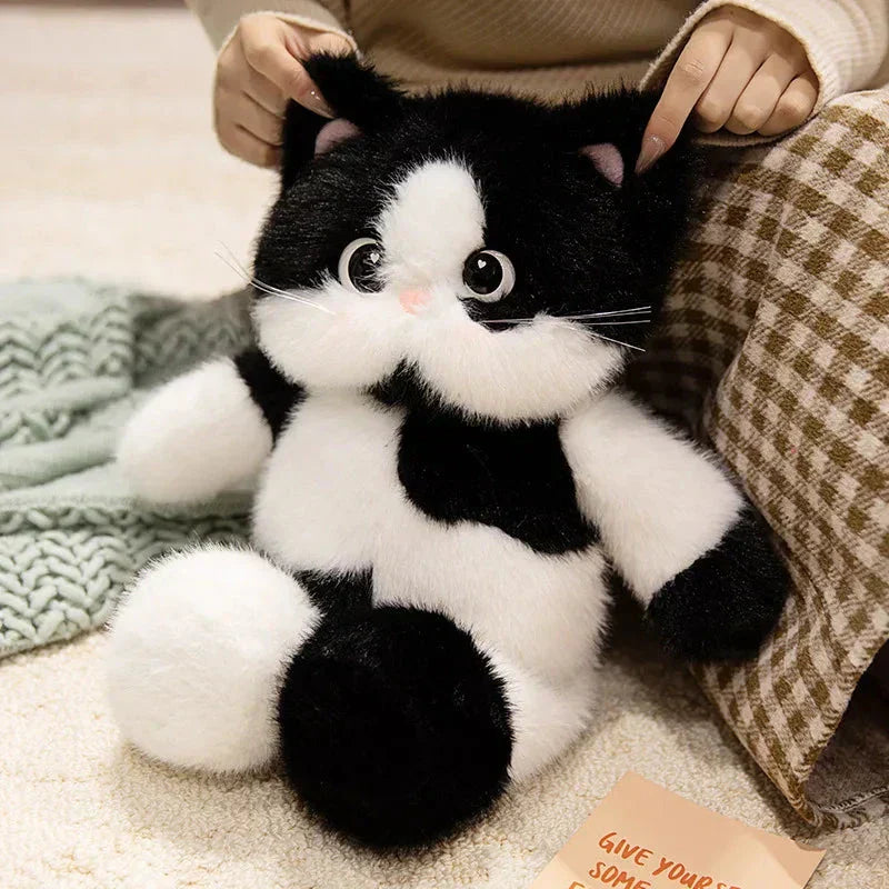 Maliben | Big-Eyed Calico Siamese Cat Plush Friends