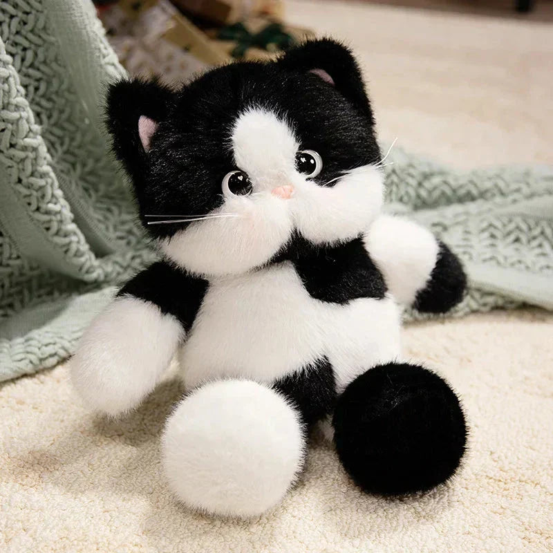 Maliben | Big-Eyed Calico Siamese Cat Plush Friends