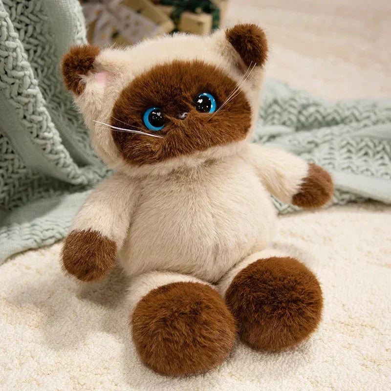 Maliben | Big-Eyed Calico Siamese Cat Plush Friends