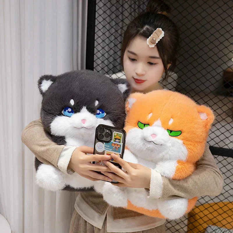 Maliben | Cute Chubby Gray Ginger Cat Plushies