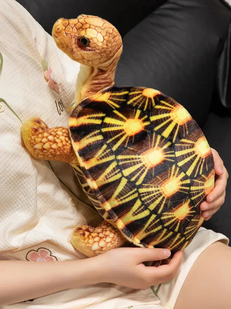 Maliben | Cute Life Like Tortoise Plushie