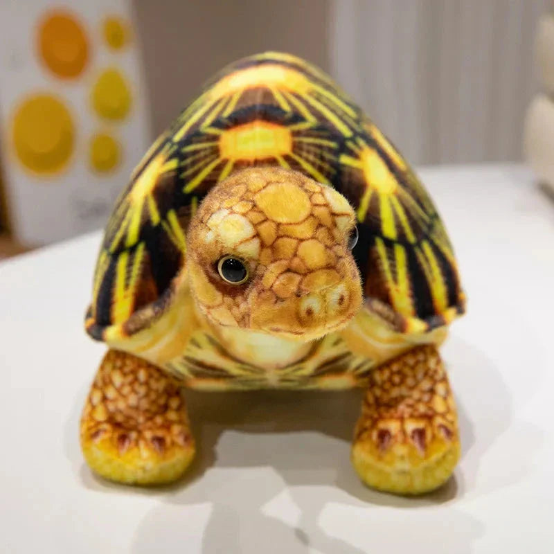 Maliben | Cute Life Like Tortoise Plushie