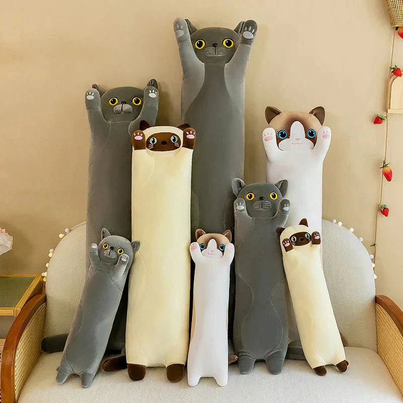 Maliben | Long Snuggly Cat Siamese British Shorthair Snowshoe Plushies Collection