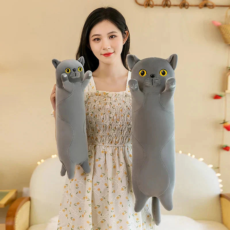 Maliben | Long Snuggly Cat Siamese British Shorthair Snowshoe Plushies Collection