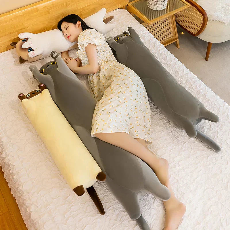 Maliben | Long Snuggly Cat Siamese British Shorthair Snowshoe Plushies Collection