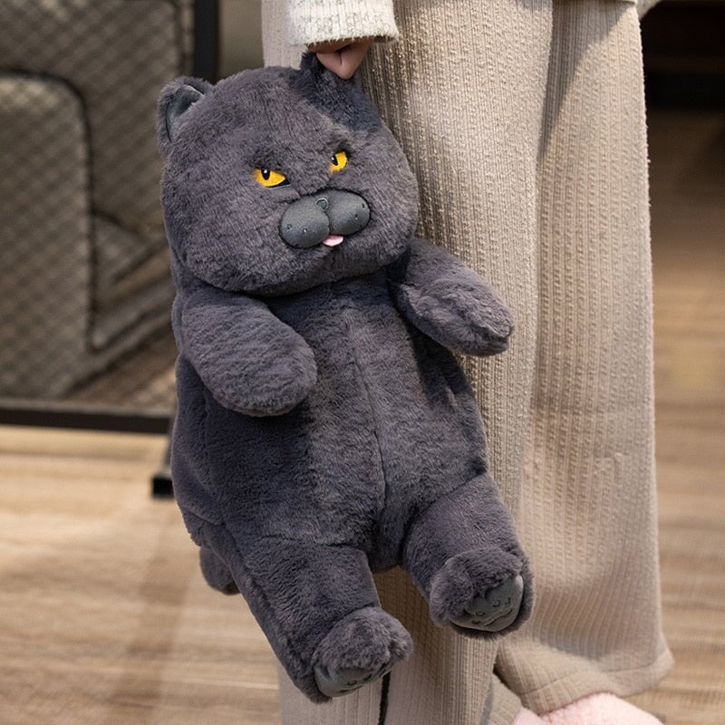 Maliben | Poe The Grumpy Cat Plushie