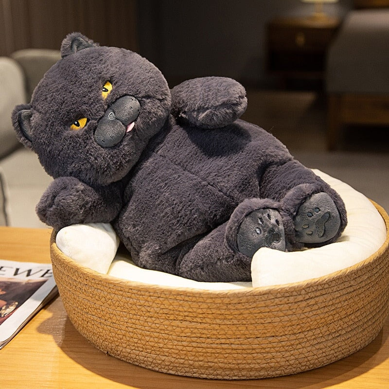 Maliben | Poe The Grumpy Cat Plushie