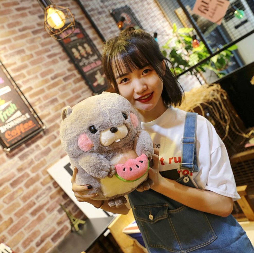 Maliben | Snacking Beaver Plushies | Limited Stock