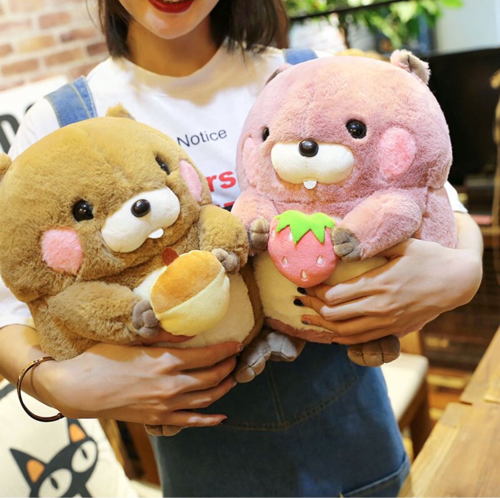 Maliben | Snacking Beaver Plushies | Limited Stock