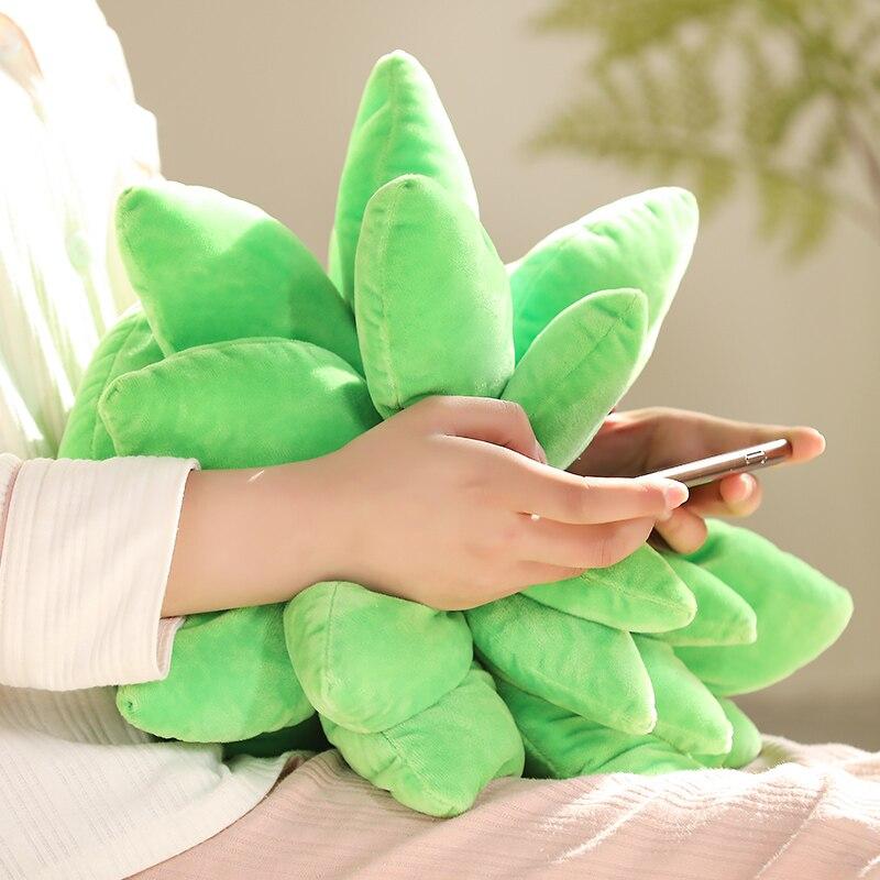 Maliben | Vibrant Succulent Plush Squad