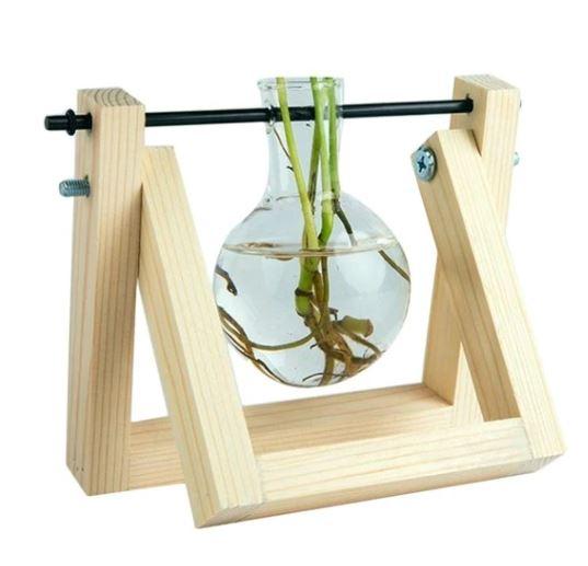 Maliben | Fauna Plants Cuttings Pots | Grow Your Own Plants At Home