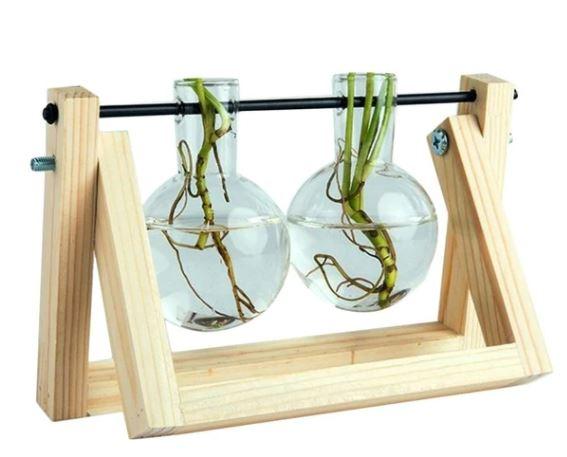 Maliben | Fauna Plants Cuttings Pots | Grow Your Own Plants At Home