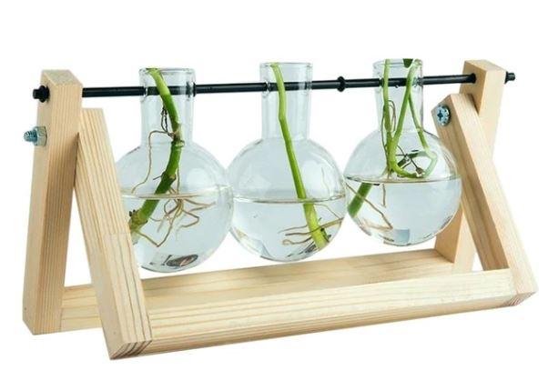 Maliben | Fauna Plants Cuttings Pots | Grow Your Own Plants At Home