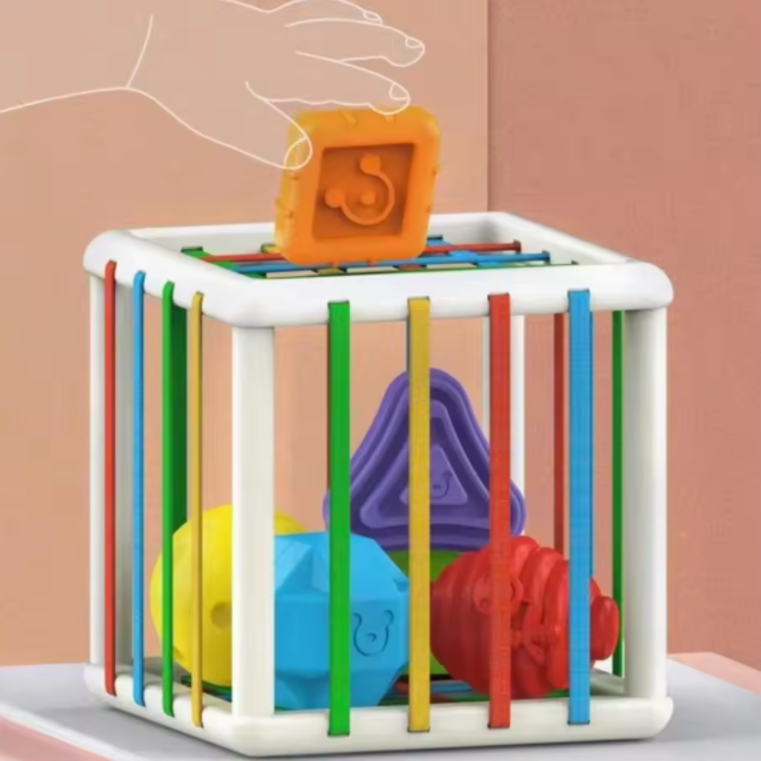 Maliben | Montessori Shapebox – Sorting And Motor Skills Game