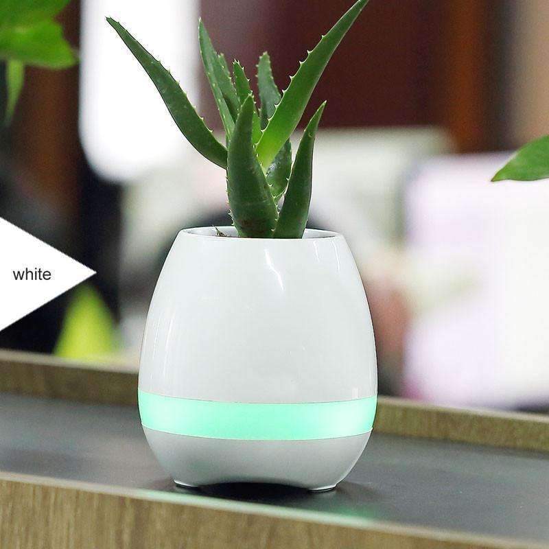 Maliben | Music Flowerpot - Play Your Own Music With Flower Power!