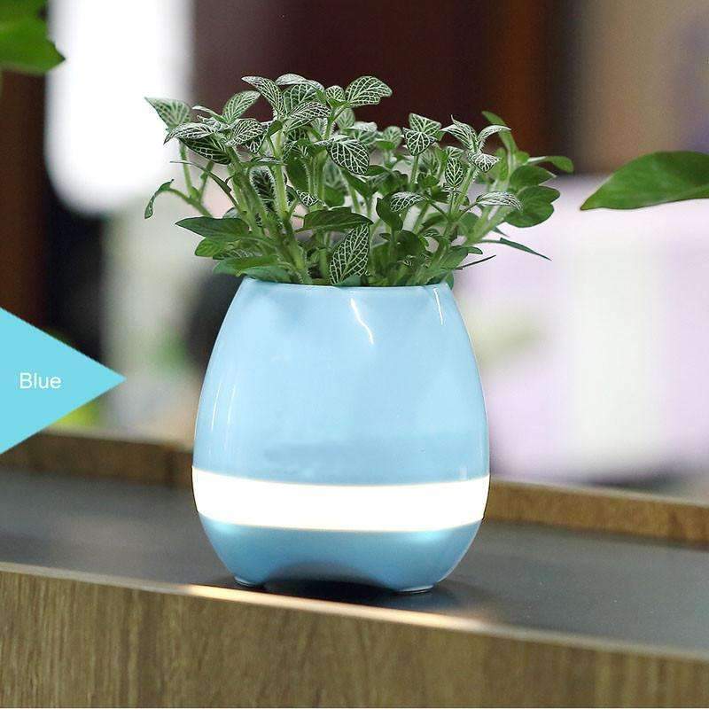 Maliben | Music Flowerpot - Play Your Own Music With Flower Power!
