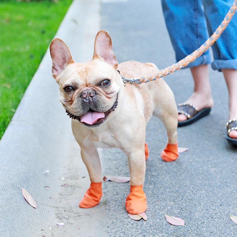 Maliben | Pootshield Waterproof Dog Shoes With Grip And Protective Comfort