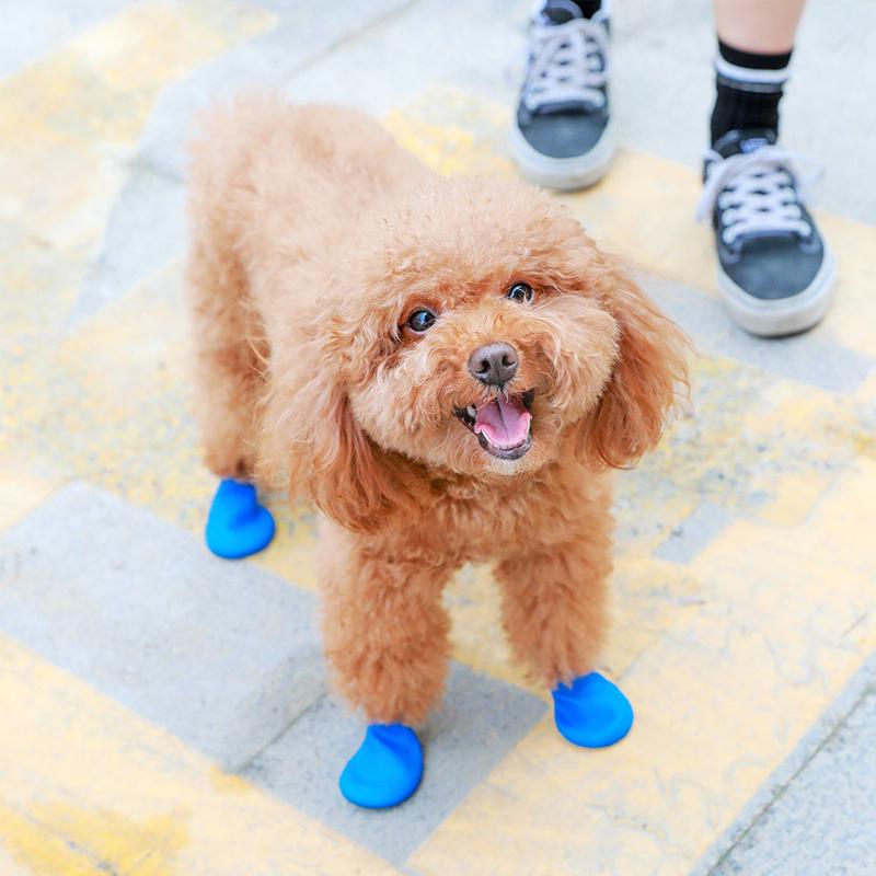 Maliben | Pootshield Waterproof Dog Shoes With Grip And Protective Comfort