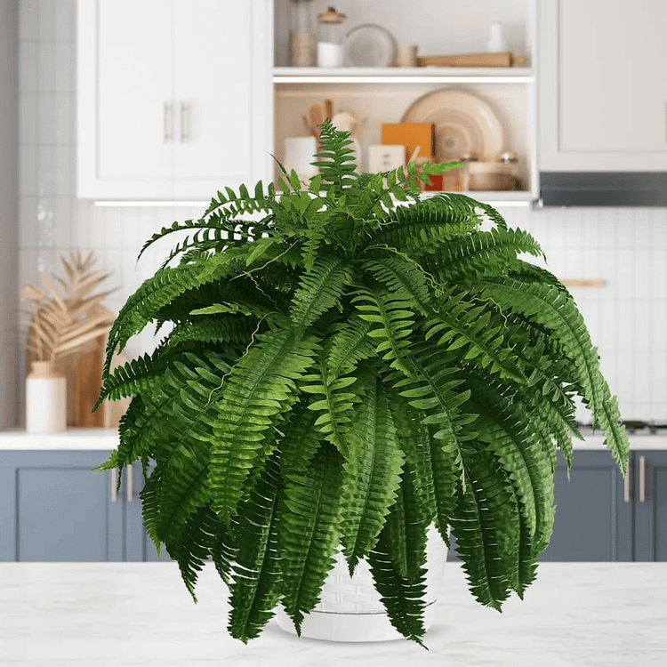 Maliben | Uv Resistant Artificial Boston Fern | Lifelike, Waterproof & Maintenance-Free For Outdoor Décor