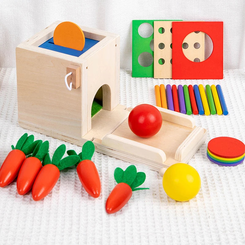 Maliben | Montessori Wooden Play Box: Tasks & Solutions Set
