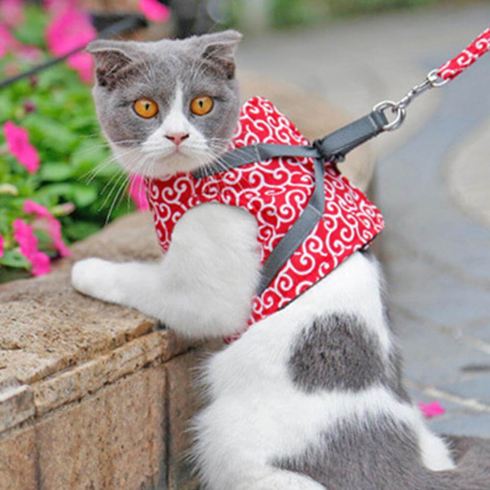 Maliben | PAWVENTURE HARNESS – Cat Harness Vest Set with Breathable Mesh & Leash