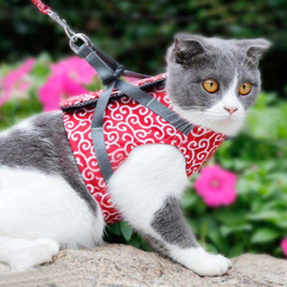 Maliben | PAWVENTURE HARNESS – Cat Harness Vest Set with Breathable Mesh & Leash