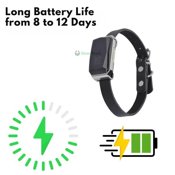 Maliben | GPS Dog Collar | Waterproof, Adjustable & Unlimited Range for Real-Time Tracking