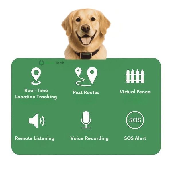 Maliben | GPS Dog Collar | Waterproof, Adjustable & Unlimited Range for Real-Time Tracking
