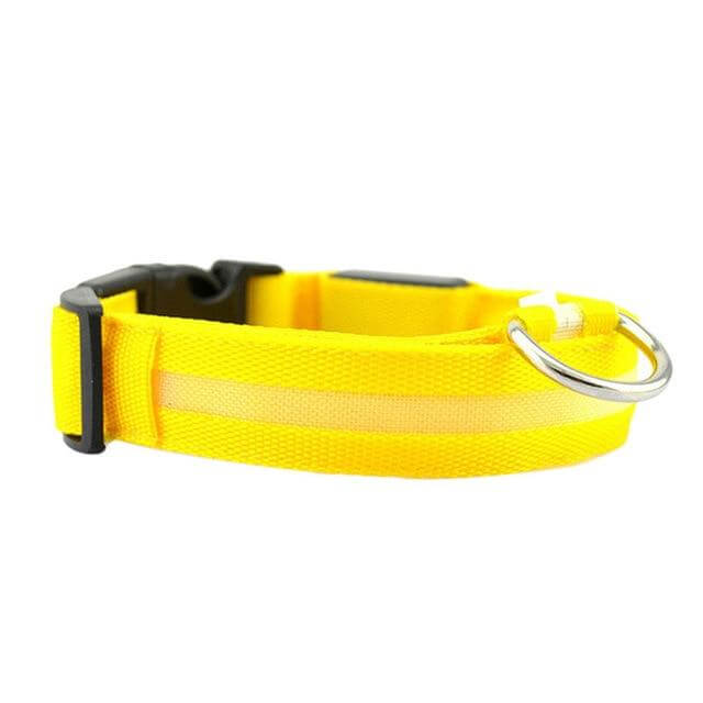 Maliben | GlowPets LED Collar – Safety & Visibility for Pets