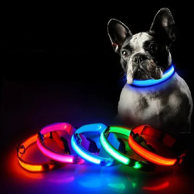 Maliben | GlowPets LED Collar – Safety & Visibility for Pets