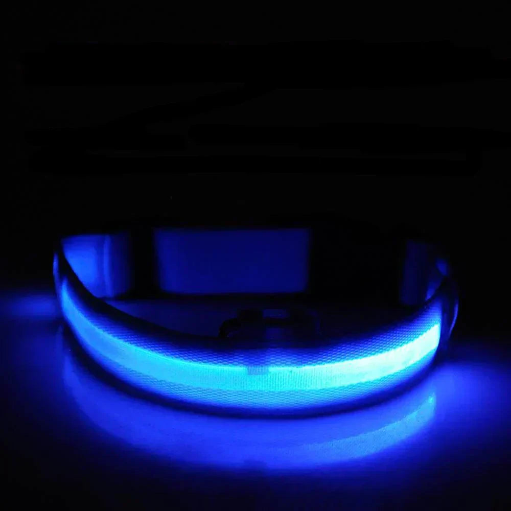 Maliben | GlowPets LED Collar – Safety & Visibility for Pets