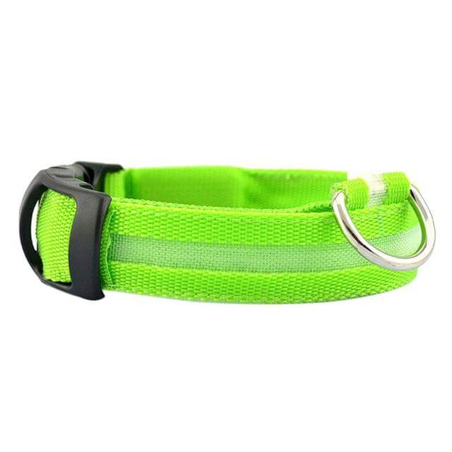 Maliben | GlowPets LED Collar – Safety & Visibility for Pets