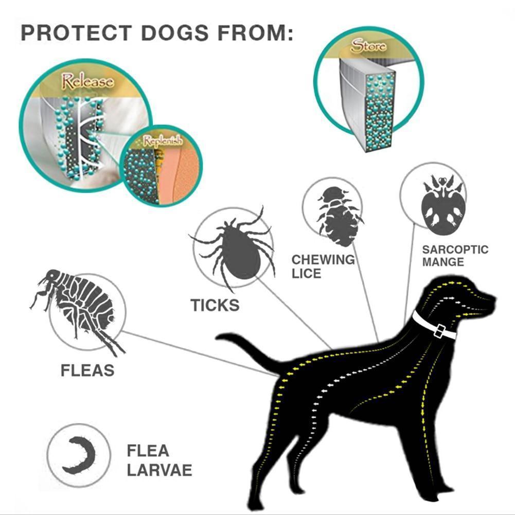 Maliben Tick and Flea Eliminating Dog Collar