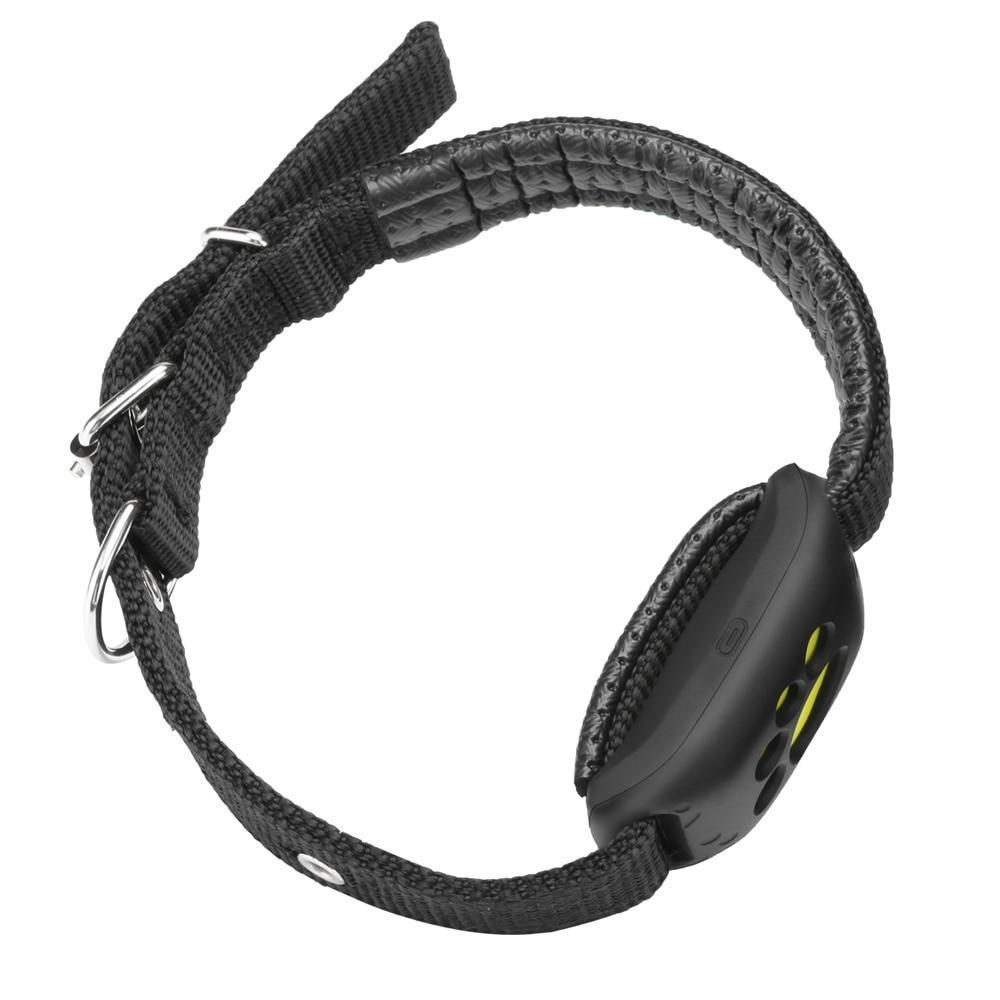 Maliben | GPS Dog Collar