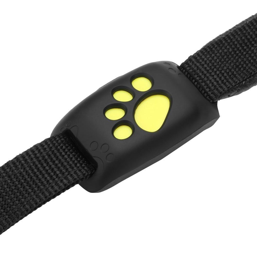 Maliben | GPS Dog Collar