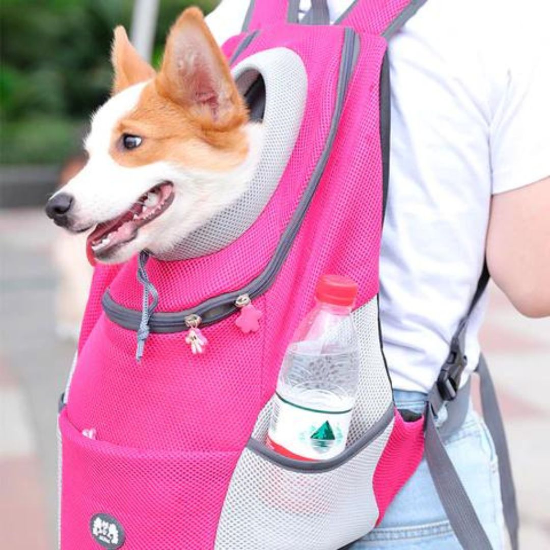 Maliben | Pawcarry – TogeTher Everywhere On the Go
