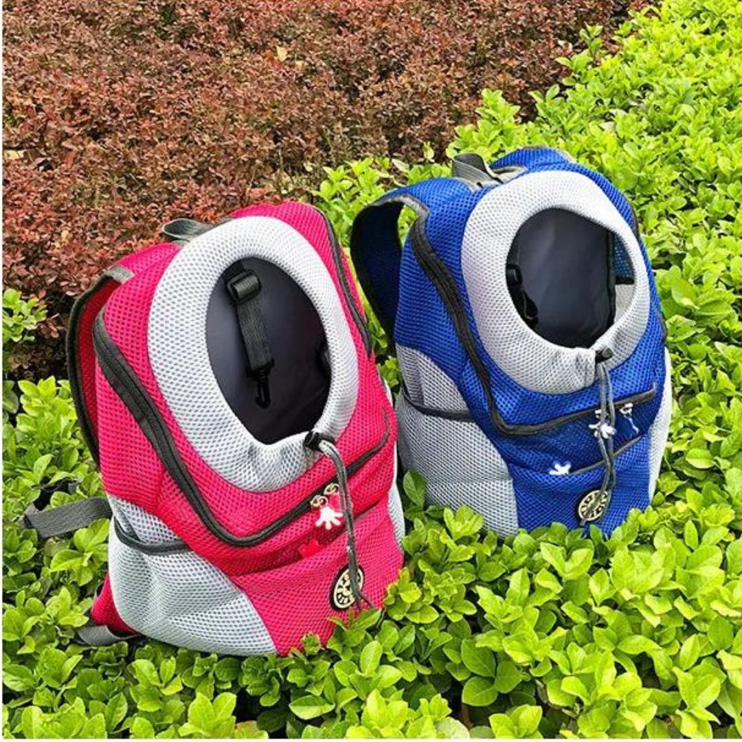 Maliben | Pawcarry – TogeTher Everywhere On the Go