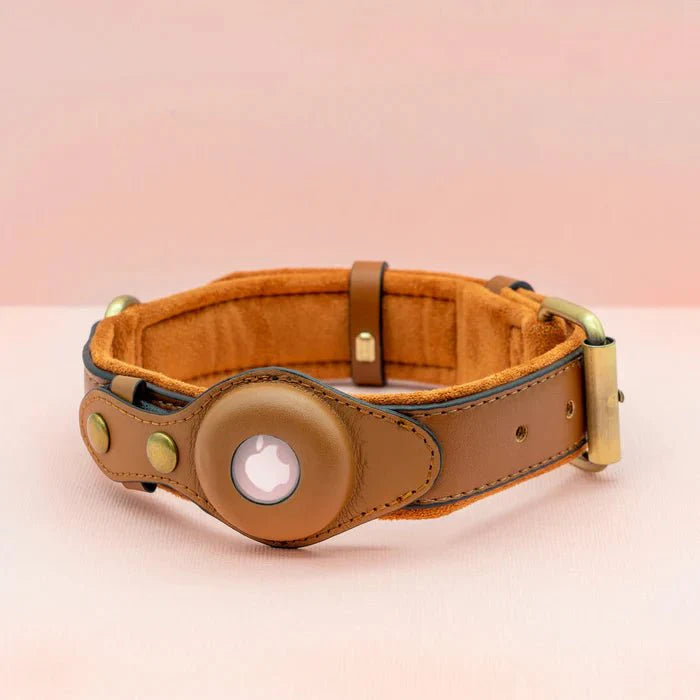 SafeTrack • Premium AirTag Dog Collar