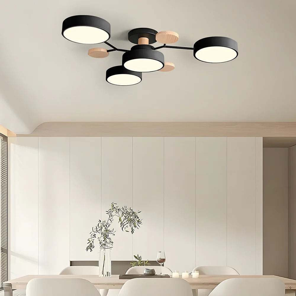 Maliben | Led Modern Ceiling Light Fixture