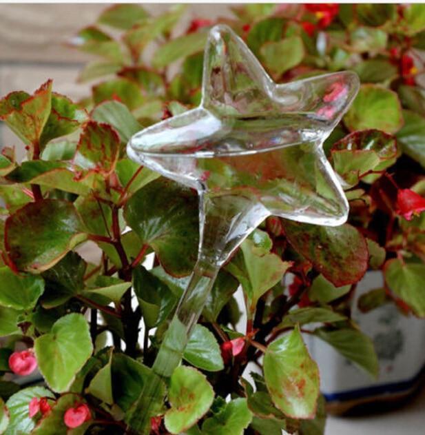 Maliben | Self-Watering Plant Bulb