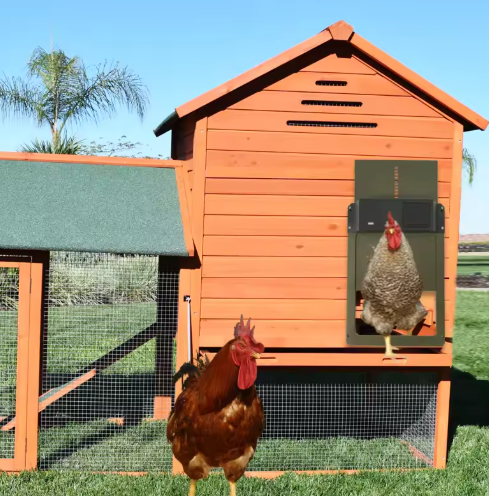 Maliben | Automatic Chicken Coop Door Opener With Timer And Light Sensor