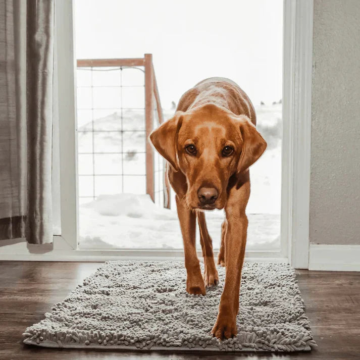 Maliben | Super Absorbent Dog Mat – Pawmat