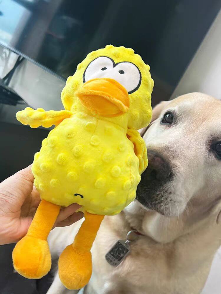 Maliben | Pawbuddy | The Ultimate Cuddle And Chew Toy - Interactive Dog Toy