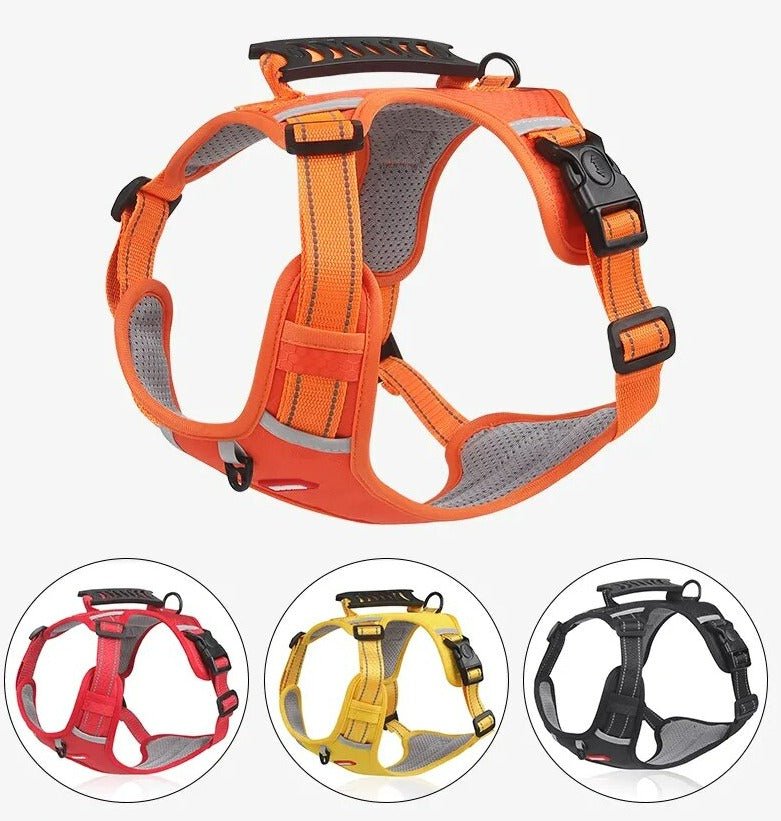 Maliben WalkEase Harness – Anti-pull dog harness for relaxed walks & healthy posture