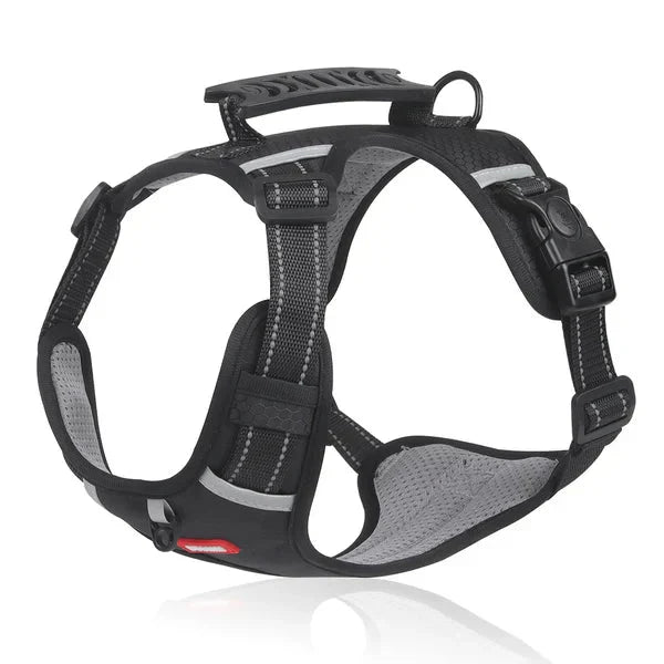Maliben WalkEase Harness – Anti-pull dog harness for relaxed walks & healthy posture
