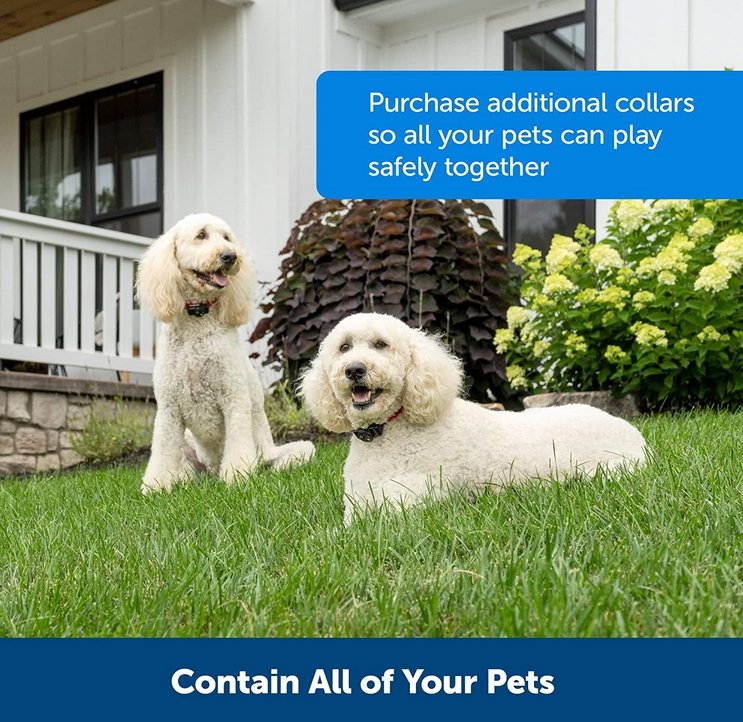 Maliben Wireless Dog Fence Collar System — Waterproof, Rechargeable & Ideal for Home...